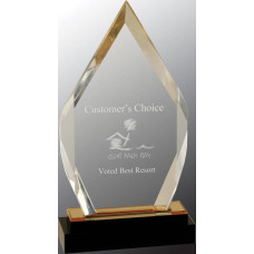 Gold Fusion Diamond Impress Acrylic Award, 9"