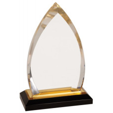 Gold Oval Impress Acrylic Award, 7 3/4"