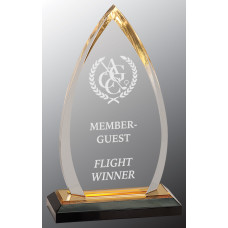 Gold Oval Impress Acrylic Award, 8 3/4"