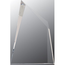 Best Places to Work Crystal Facet Wedge, 1st Place Awards