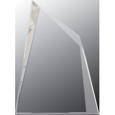 Best Places to Work Crystal Facet Wedge, 2nd and 3rd Place Awards