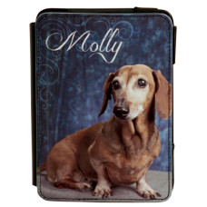 Faux Leather Original Kindle Flip Case