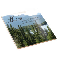 Glossy Ceramic Photo Tile