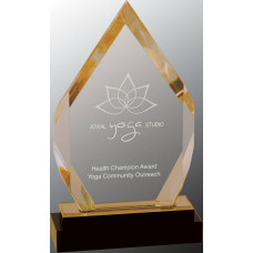 Gold Fusion Diamond Impress Acrylic Award, 8"