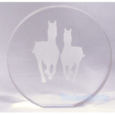 Acrylic Round Horses Cake Top