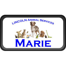 Black Plastic 1 1/2" x 3 Name Badge with Round Corners