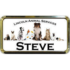 Gold Plastic 1 1/2" x 3 Name Badge with Round Corners